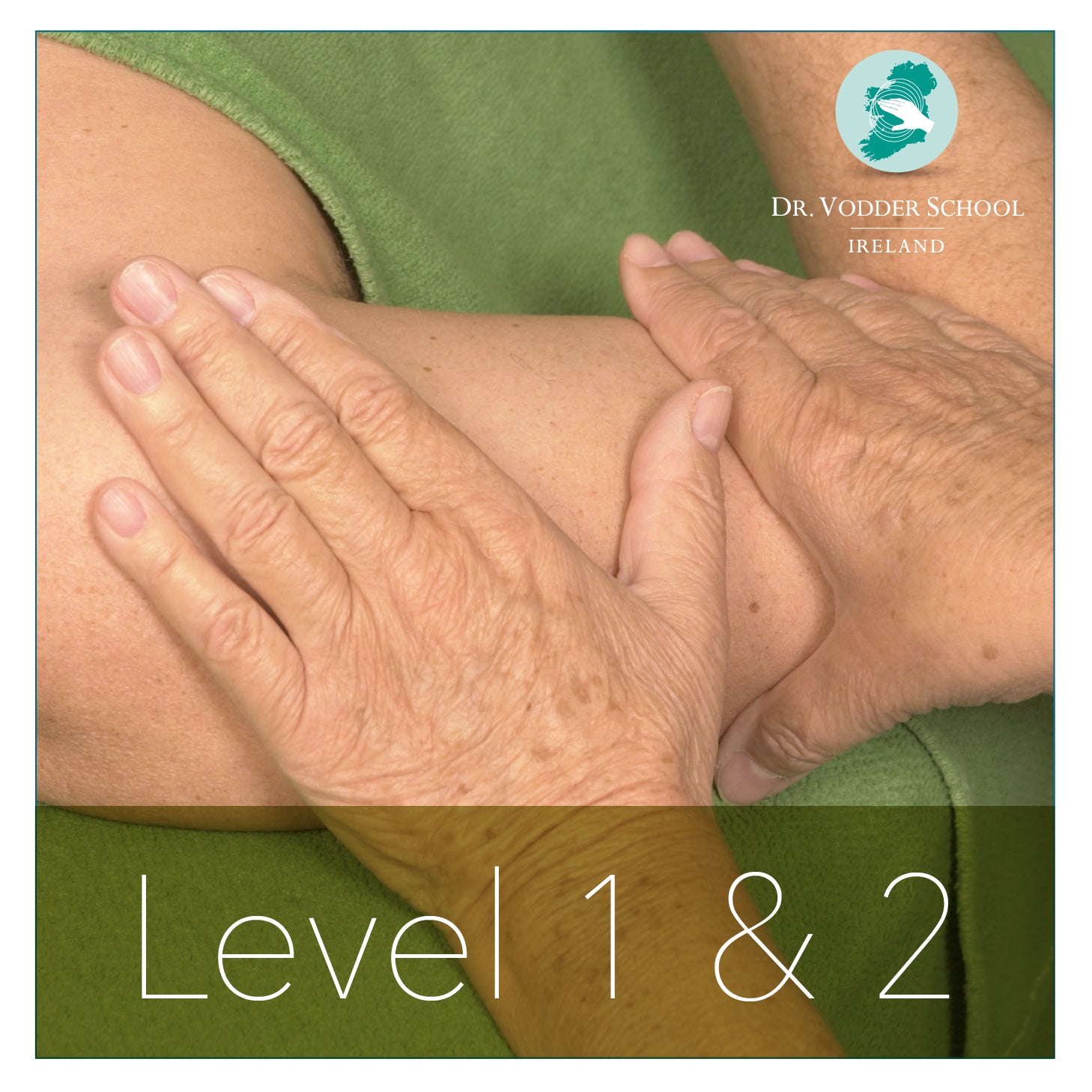 Level 1 & 2 Courses Spring 2024 (Discount when booked together ) Dr